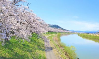 アクロクエスト🌸2025年4月🌸のまとめ – 永年勤続社員の表彰がありました！