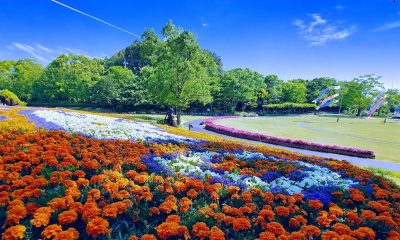 アクロクエスト🎏2025年5月🎏のまとめ – 6年ぶりにオフラインでの全社員会議がありました！