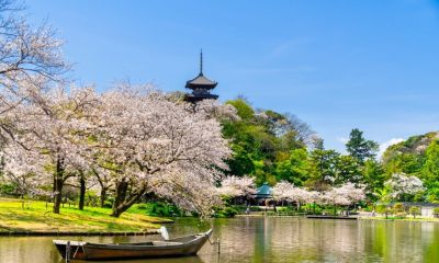 コラム「その一句、実家へ」